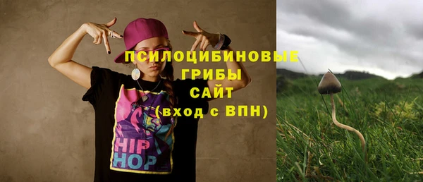 a pvp Козловка
