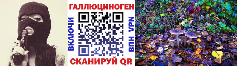 Галлюциногенные грибы Magic Shrooms  Купить закладки  Дмитров 